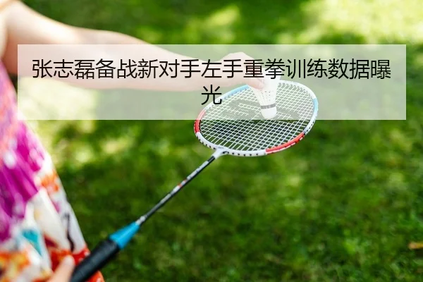 张志磊备战新对手左手重拳训练数据曝光